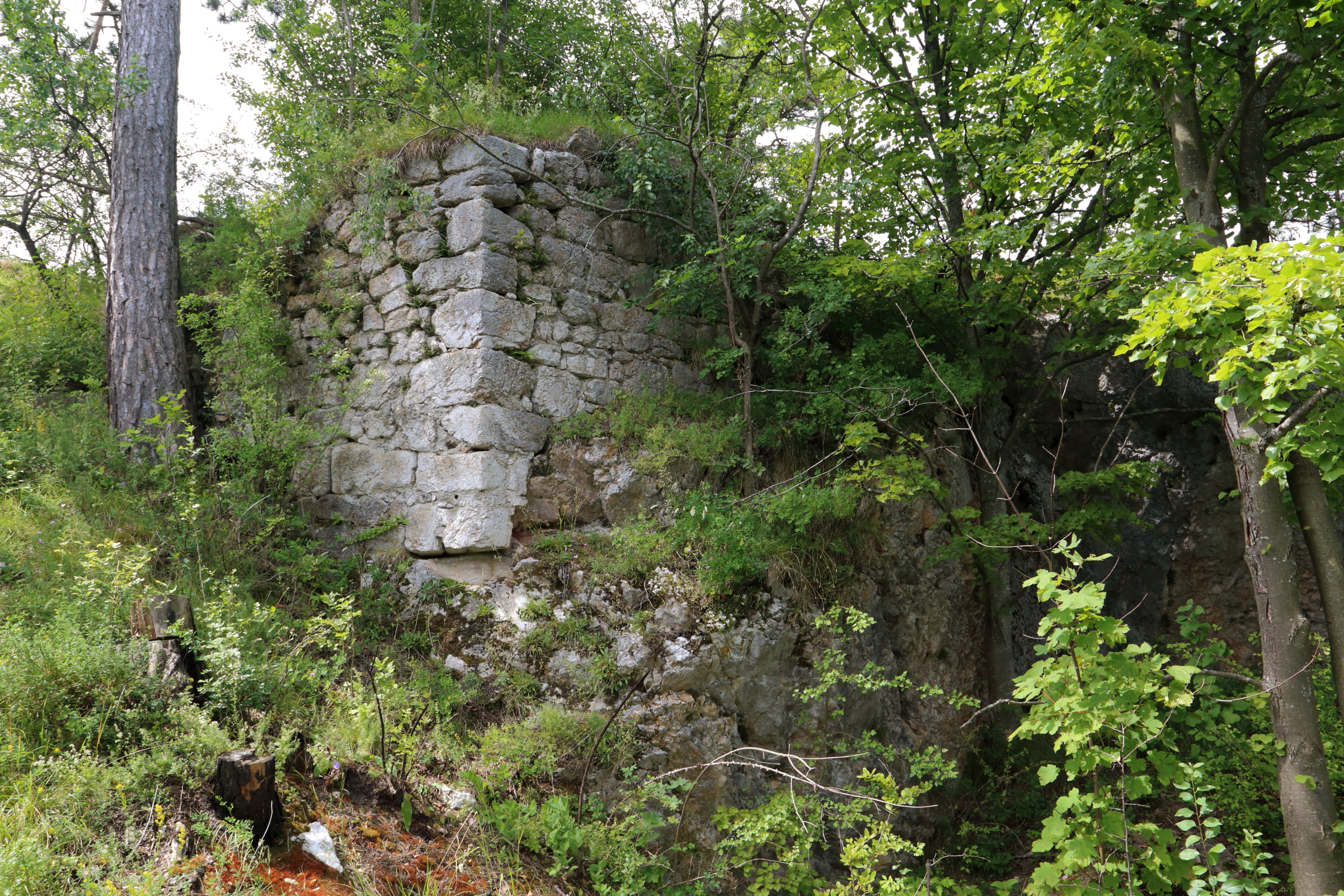 Burgruine Frohnberg – Die vergessene Burg über dem Miesenbachtal